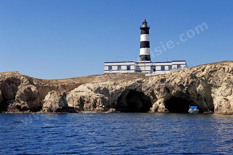 La grande et la petite Cani, deux îlots assez plats, sont situées à cinq milles au nord du Cap Zebib et de Bizerte. La Grande ile est surmontée d'un très beau phare de 18 mètres de haut construit vers 1860 et sera le deuxième phare de Tunisie après celui de Sidi Bou Saïd. Aujourd'hui c'est un haut lieu d'excursion pour les plaisanciers et les plongeurs qui viennent découvrir un relief et une nature sous-marines eriches et à faible profondeur ainsi que les petites grottes que constituent l'île.