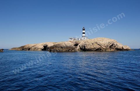 La grande et la petite Cani, deux îlots assez plats, sont situées à cinq milles au nord du Cap Zebib et de Bizerte. La Grande ile est surmontée d'un très beau phare de 18 mètres de haut construit vers 1860 et sera le deuxième phare de Tunisie après celui de Sidi Bou Saïd. Aujourd'hui c'est un haut lieu d'excursion pour les plaisanciers et les plongeurs qui viennent découvrir un relief et une nature sous-marines eriches et à faible profondeur ainsi que les petites grottes que constituent l'île.