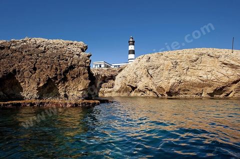 La grande et la petite Cani, deux îlots assez plats, sont situées à cinq milles au nord du Cap Zebib et de Bizerte. La Grande ile est surmontée d'un très beau phare de 18 mètres de haut construit vers 1860 et sera le deuxième phare de Tunisie après celui de Sidi Bou Saïd. Aujourd'hui c'est un haut lieu d'excursion pour les plaisanciers et les plongeurs qui viennent découvrir un relief et une nature sous-marines eriches et à faible profondeur ainsi que les petites grottes que constituent l'île.
