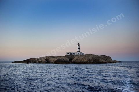 La grande et la petite Cani, deux îlots assez plats, sont situées à cinq milles au nord du Cap Zebib et de Bizerte. La Grande ile est surmontée d'un très beau phare de 18 mètres de haut construit vers 1860 et sera le deuxième phare de Tunisie après celui de Sidi Bou Saïd. Aujourd'hui c'est un haut lieu d'excursion pour les plaisanciers et les plongeurs qui viennent découvrir un relief et une nature sous-marines eriches et à faible profondeur ainsi que les petites grottes que constituent l'île.