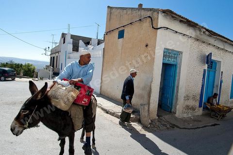 Homme sur dos d'âne - Rue et scènes de vie dans la medina du Kef