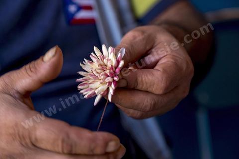 Homme préparant le Machmoum avec fleurs de Jasmin. Ras Jebel est fondée par les Romains entre le IIIe et le IVe siècle. Vers la deuxième moitié du XIVe siècle, les Andalous expulsés d'Espagne se seraient installés sur le site après avoir bénéficié de concessions agricoles. 