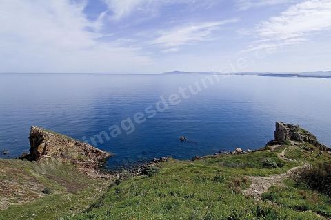 Le fort Genois et la presqu'ile de Tabarka