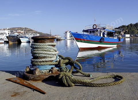 bâteau de pêcheur et pêcheurs sur le port de tabarka