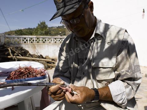 Atelier de corailleur à Tabarka - Préparation du corail, sculpture du corail et assemblage et confection de bijoux en corail