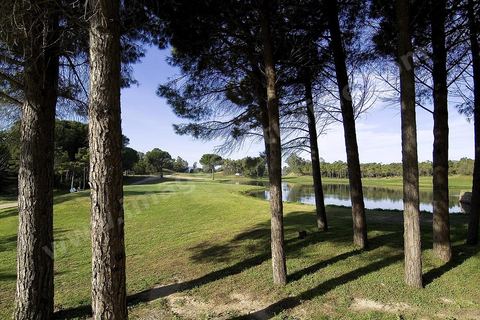 Golf de Tabarka