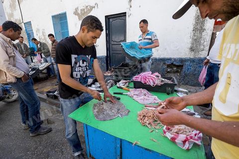 Dans les rues de Tabarka autour des poissonniers des jeunes préparent le poisson à même la rue