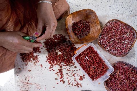 les ouvrières taillent et polissent le corail dans l'atelier de Mokthar, installé dans la cour de sa maison à Tabarka