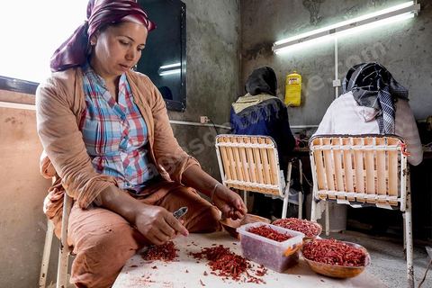 les ouvrières taillent et polissent le corail dans l'atelier de Mokthar, installé dans la cour de sa maison à Tabarka