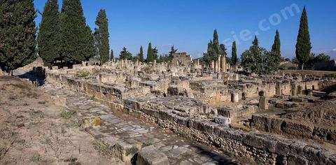 Vue générale sur le quartier d'habitations romaines. Utique est un site archéologique localisé à l'emplacement d'une ancienne cité portuaire fondée par les Phéniciens dans l'Antiquité. Il est situé au nord de l'actuelle Tunisie, à une trentaine de kilomètres au nord-ouest de Carthage. La ville aurait été fondée en 1101 avt JC en tant que comptoir commercial phénicien. Elle est réputée comme l'une des plus anciennes villes de la Méditerranée occidentale.