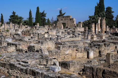 Vue générale sur le quartier d'habitations romaines. Utique est un site archéologique localisé à l'emplacement d'une ancienne cité portuaire fondée par les Phéniciens dans l'Antiquité. Il est situé au nord de l'actuelle Tunisie, à une trentaine de kilomètres au nord-ouest de Carthage. La ville aurait été fondée en 1101 avt JC en tant que comptoir commercial phénicien. Elle est réputée comme l'une des plus anciennes villes de la Méditerranée occidentale.