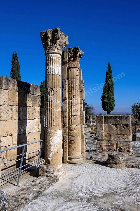 Maison de la cascade dans le quartier d'habitations romaines. Utique est un site archéologique localisé à l'emplacement d'une ancienne cité portuaire fondée par les Phéniciens dans l'Antiquité. Il est situé au nord de l'actuelle Tunisie, à une trentaine de kilomètres au nord-ouest de Carthage. La ville aurait été fondée en 1101 avt JC en tant que comptoir commercial phénicien. Elle est réputée comme l'une des plus anciennes villes de la Méditerranée occidentale.