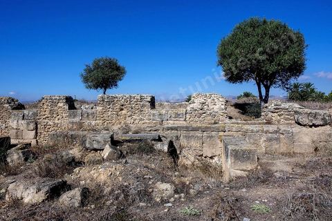 Le nouveau forum romain. Utique est un site archéologique localisé à l'emplacement d'une ancienne cité portuaire fondée par les Phéniciens dans l'Antiquité. Il est situé au nord de l'actuelle Tunisie, à une trentaine de kilomètres au nord-ouest de Carthage. La ville aurait été fondée en 1101 avt JC en tant que comptoir commercial phénicien. Elle est réputée comme l'une des plus anciennes villes de la Méditerranée occidentale.