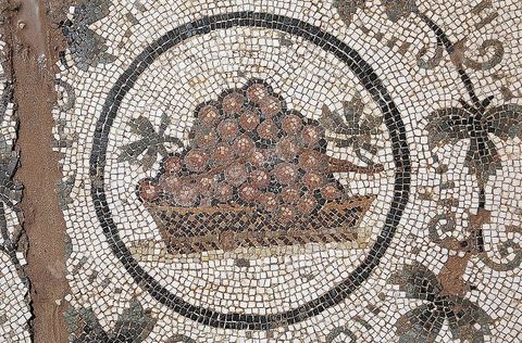mosaique du musee d'El Jem