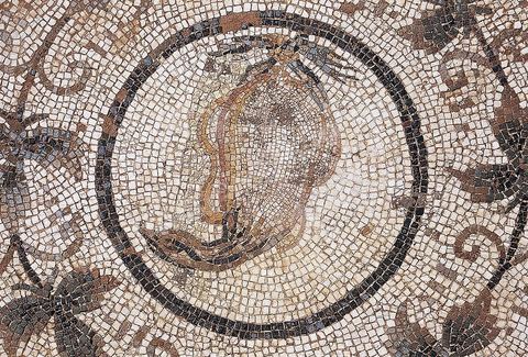 mosaique du musee d'El Jem