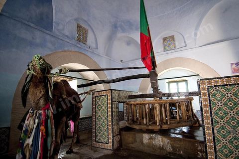 Intérieur du Bir Barouta avec son dromadaire dans la medina de Kairouan