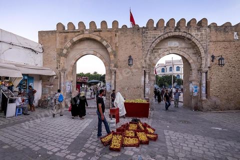 XE221296