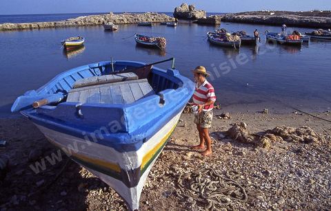 pêcheurs et barques dans le port fatimide de Mahdia