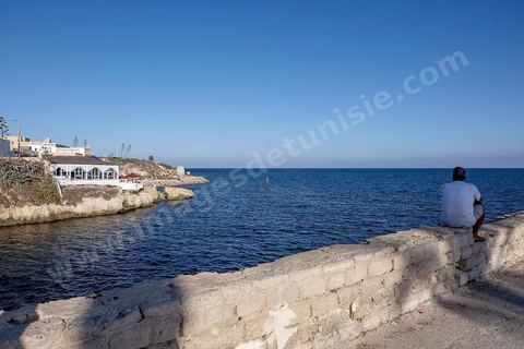 Le célèbre café Sidi Salem sur la corniche sud de l'île. La presqu'île de Mahdia est le coeur historique de la ville, avec la medina et à sa pointe le cimetière marin et le borj. La partie résidentielle, appellée Borj Erras, est un mélange de palais et de maisaons traditionnelle de pêcheurs. 