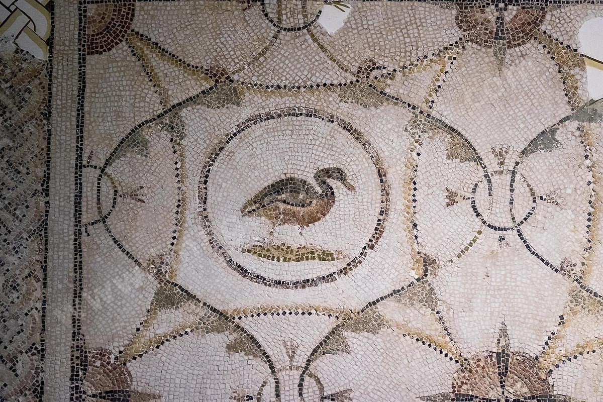 D02-2085