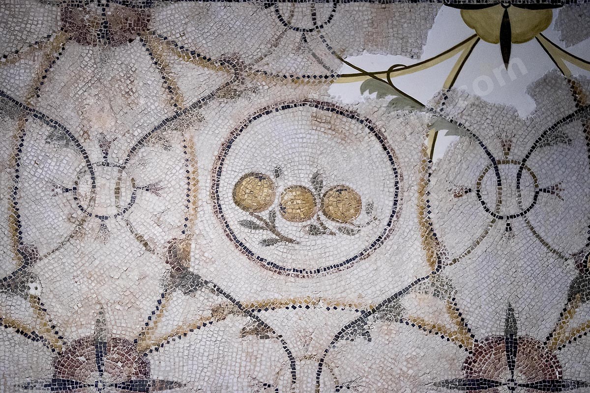 D02-2086