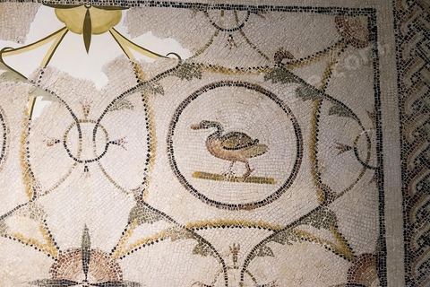 Nature morte ou xénia, mosaique d'un canard - musée archéologique de Sousse dans la Kasbah située en haut de la medina de Sousse