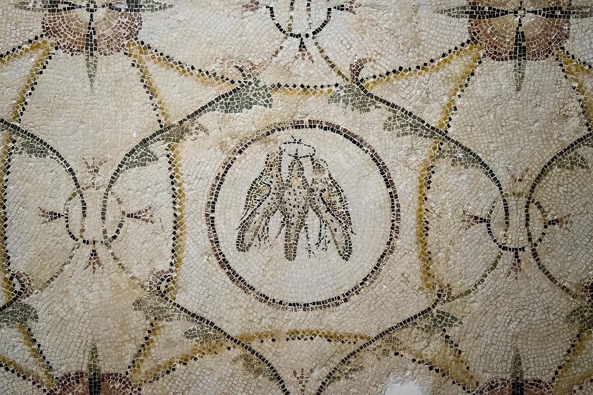 D02-2089