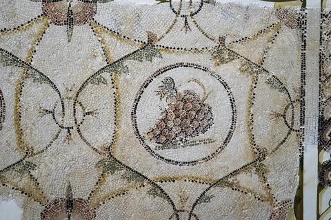 Nature morte ou xénia, mosaique d'une grappe de raisins - musée archéologique de Sousse dans la Kasbah située en haut de la medina de Sousse