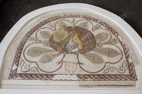 Mosaique du paon - musée archéologique de Sousse dans la Kasbah située en haut de la medina de Sousse
