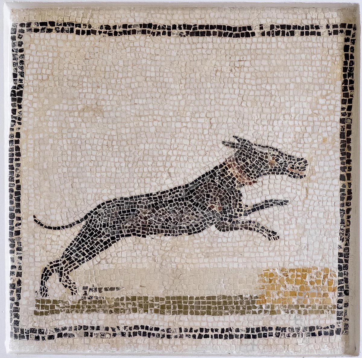 D02-2118