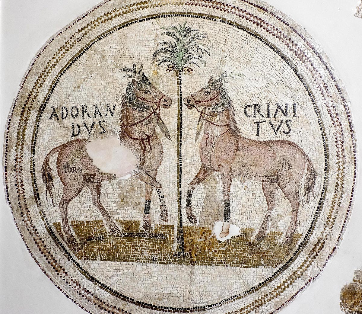 D02-2122