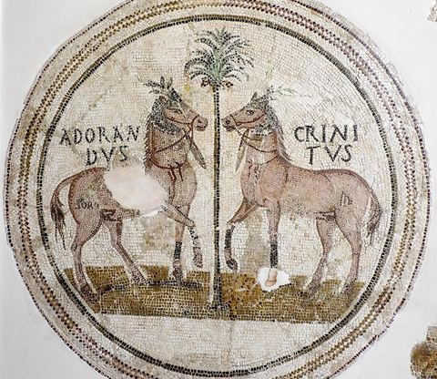 Mosaique de chevaux - musée archéologique de Sousse dans la Kasbah située en haut de la medina de Sousse