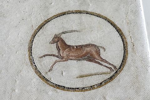 mosaique de l'enlevement de Ganymède entouré de 9 médaillons d'animaux en mouvement : tigresse, cheval, antilope, ours, panthère, lion, ... musée archéologique de Sousse dans la Kasbah située en haut de la medina de Sousse
