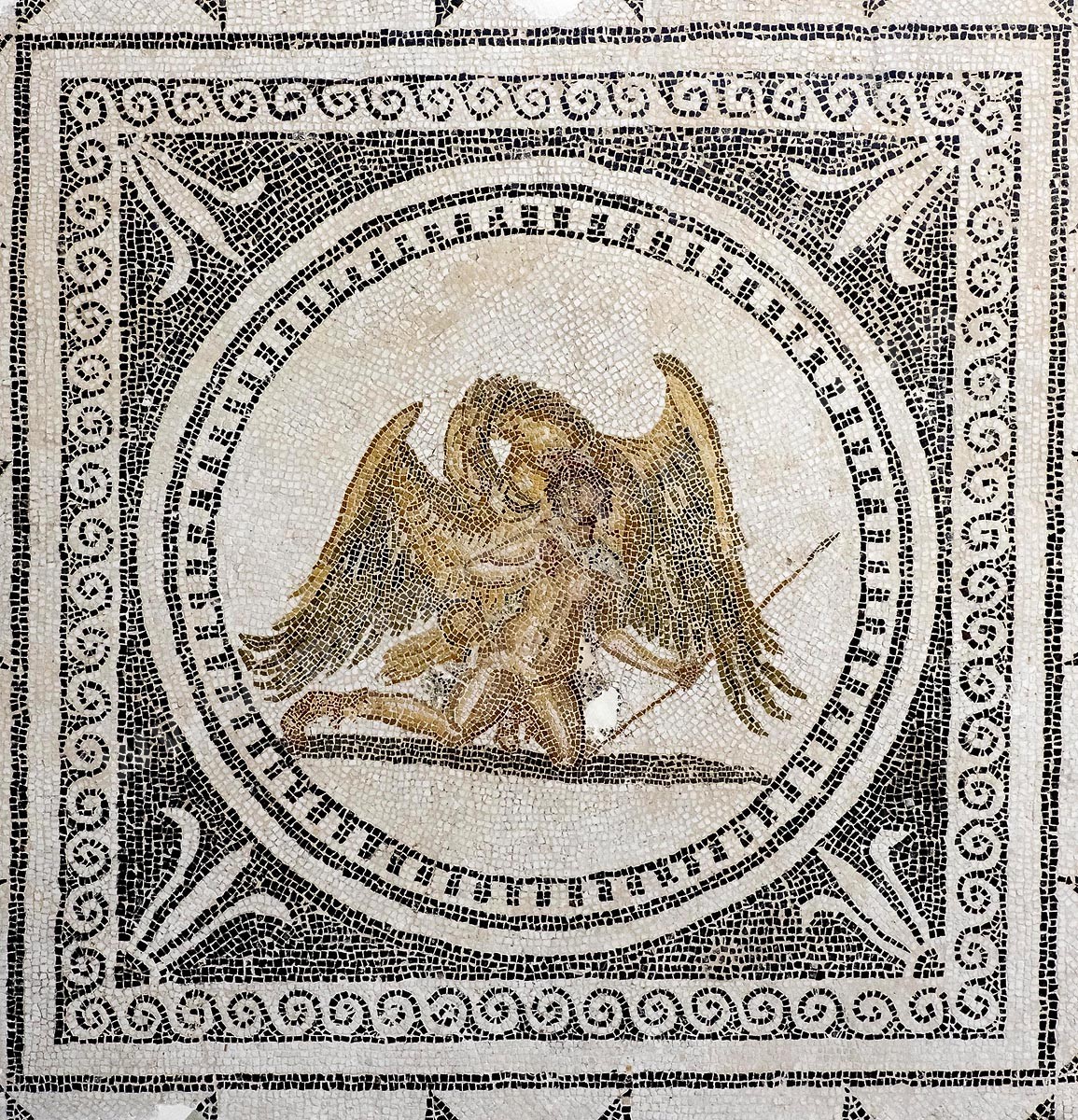 D02-2132