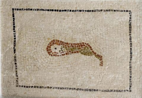 Mosaique d'un xenion (cadeau d'hospitalité) un cuissot de lièvre. C'était la partie la plus appréciée en cuisine. musée archéologique de Sousse dans la Kasbah située en haut de la medina de Sousse