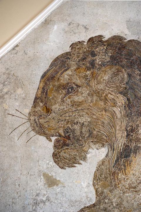 Musée archéologique de Salakta avec la fameuse mosaïque du Lion