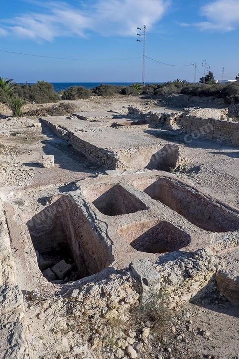 Site archéologique de Salakta : le garum