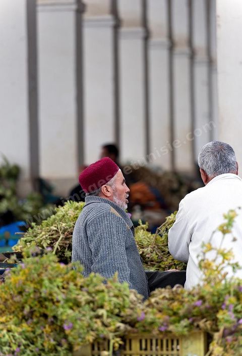 Le marché central de Tunis, marché aux légumes, poissons, fromages, boucheries et épiceries fines
