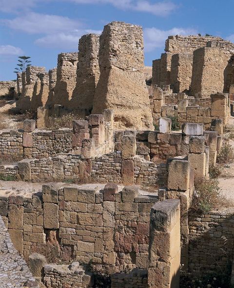 Quartier d'habitations puniques sur la colline de Byrsa à Carthage. Sur le sommet de la colline de Byrsa, emplacement du forum romain, a été mis au jour un quartier d'habitation punique du dernier siècle d'existence de la ville, daté plus précisément du début du IIe siècle avt JC. L'habitat est typique et même stéréotypé, avec un local sur la rue pouvant être utilisé comme magasin, une citerne étant installée au sous-sol afin de récupérer l'eau destinée à l'utilisation domestique, et un long couloir sur le côté droit qui mène à une cour percée d'un puisard et autour de laquelle se succèdent de petites pièces en nombre variable.