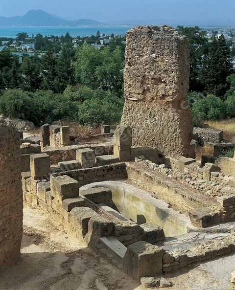 Quartier d'habitations puniques sur la colline de Byrsa à Carthage. Sur le sommet de la colline de Byrsa, emplacement du forum romain, a été mis au jour un quartier d'habitation punique du dernier siècle d'existence de la ville, daté plus précisément du début du IIe siècle avt JC. L'habitat est typique et même stéréotypé, avec un local sur la rue pouvant être utilisé comme magasin, une citerne étant installée au sous-sol afin de récupérer l'eau destinée à l'utilisation domestique, et un long couloir sur le côté droit qui mène à une cour percée d'un puisard et autour de laquelle se succèdent de petites pièces en nombre variable.