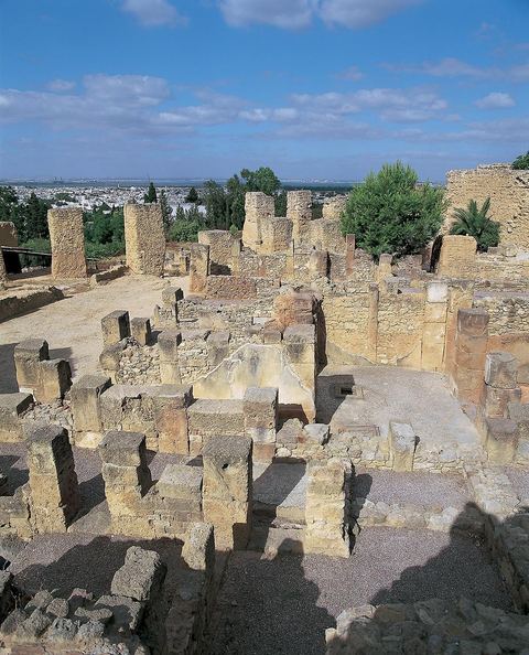 Quartier d'habitations puniques sur la colline de Byrsa à Carthage. Sur le sommet de la colline de Byrsa, emplacement du forum romain, a été mis au jour un quartier d'habitation punique du dernier siècle d'existence de la ville, daté plus précisément du début du IIe siècle avt JC. L'habitat est typique et même stéréotypé, avec un local sur la rue pouvant être utilisé comme magasin, une citerne étant installée au sous-sol afin de récupérer l'eau destinée à l'utilisation domestique, et un long couloir sur le côté droit qui mène à une cour percée d'un puisard et autour de laquelle se succèdent de petites pièces en nombre variable.