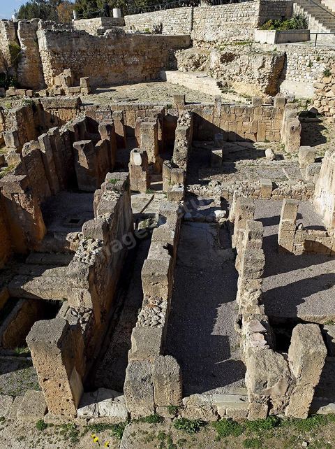 Quartier d'habitations puniques sur la colline de Byrsa à Carthage. Sur le sommet de la colline de Byrsa, emplacement du forum romain, a été mis au jour un quartier d'habitation punique du dernier siècle d'existence de la ville, daté plus précisément du début du IIe siècle avt JC. L'habitat est typique et même stéréotypé, avec un local sur la rue pouvant être utilisé comme magasin, une citerne étant installée au sous-sol afin de récupérer l'eau destinée à l'utilisation domestique, et un long couloir sur le côté droit qui mène à une cour percée d'un puisard et autour de laquelle se succèdent de petites pièces en nombre variable.