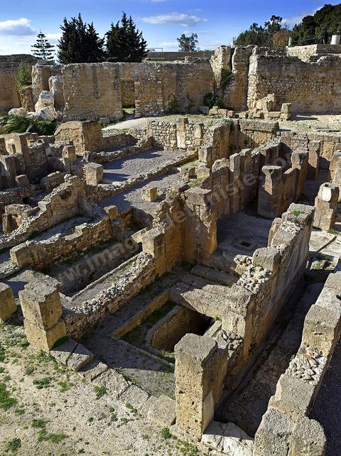 Quartier d'habitations puniques sur la colline de Byrsa à Carthage. Sur le sommet de la colline de Byrsa, emplacement du forum romain, a été mis au jour un quartier d'habitation punique du dernier siècle d'existence de la ville, daté plus précisément du début du IIe siècle avt JC. L'habitat est typique et même stéréotypé, avec un local sur la rue pouvant être utilisé comme magasin, une citerne étant installée au sous-sol afin de récupérer l'eau destinée à l'utilisation domestique, et un long couloir sur le côté droit qui mène à une cour percée d'un puisard et autour de laquelle se succèdent de petites pièces en nombre variable.