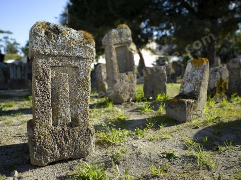 Le tophet, est un enclos sacré punique où les Carthaginois auraient sacrifié leurs enfants aux divinités protectrices Tanit et Ba'al Hammon selon une historiographie bien ancrée mais remise en cause par certains spécialistes. Ce jardin recèle un grand nombre de stèles puniques souvent marqué du signe de Tanit.