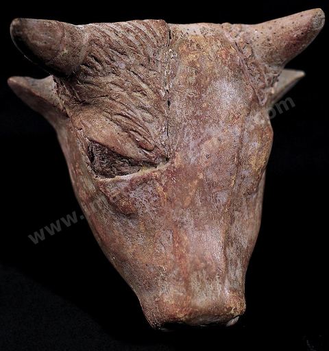 Tête de vache en terre cuite (musée de Carthage)