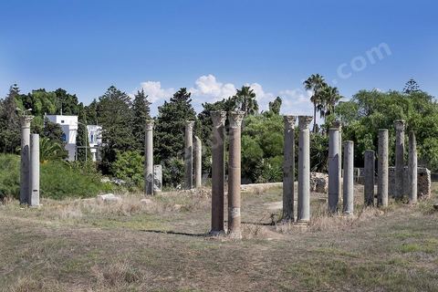 Site romain de l'édifice à colonnes