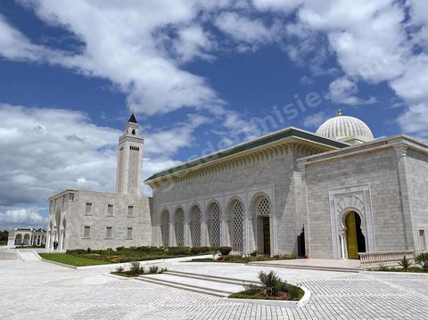 La mosquée El Abidine de Carthage est située au-dessus de la ville de Carthage.Elle est érigée au lieu-dit « La Colline de l'Odéon », au cœur du site archéologique de Carthage.Ouvert en 2003, l'édifice comporte une salle de prière pouvant accueillir 1 000 fidèles, une cour intérieure couvrant 1 500 m2, une esplanade de 2 500 m2 et un minaret d'une base de 9 mètres et haut de 55 mètres. 