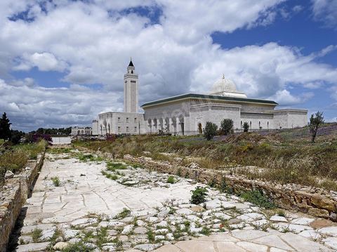 La mosquée El Abidine de Carthage est située au-dessus de la ville de Carthage.Elle est érigée au lieu-dit « La Colline de l'Odéon », au cœur du site archéologique de Carthage.Ouvert en 2003, l'édifice comporte une salle de prière pouvant accueillir 1 000 fidèles, une cour intérieure couvrant 1 500 m2, une esplanade de 2 500 m2 et un minaret d'une base de 9 mètres et haut de 55 mètres. 