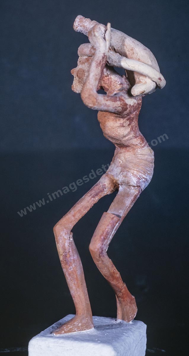 _DSF3729
