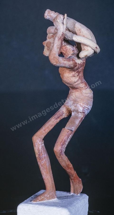 _DSF3729